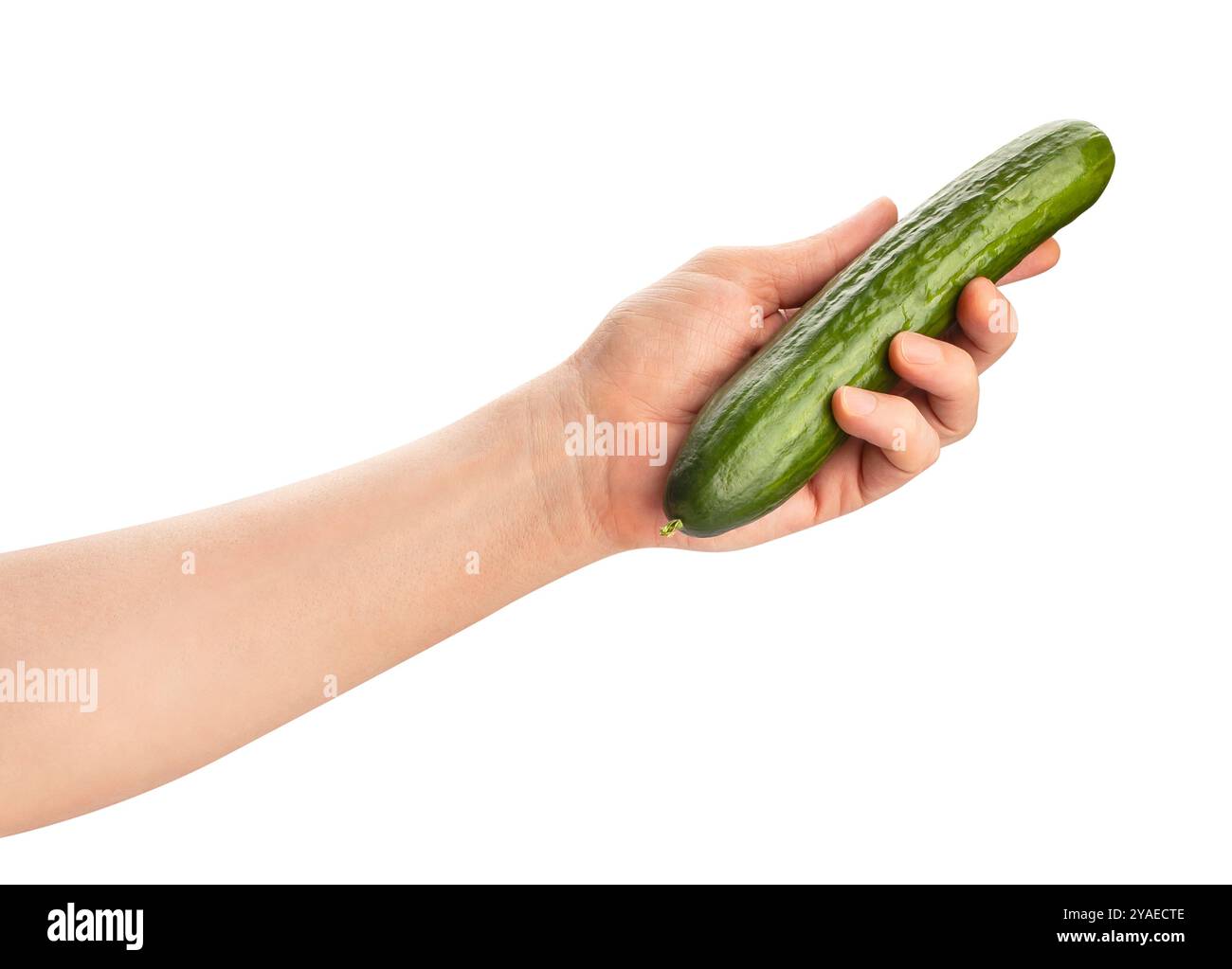 Gurke in der Hand weg isoliert auf weißem Stockfoto