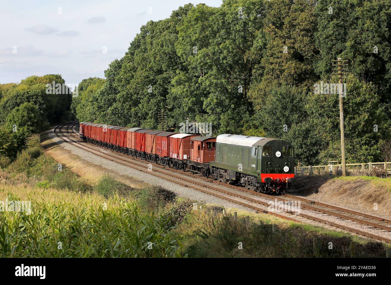 D8001 passiert Kinchley Lane auf der 4.10.24 mit den Transportern. Stockfoto