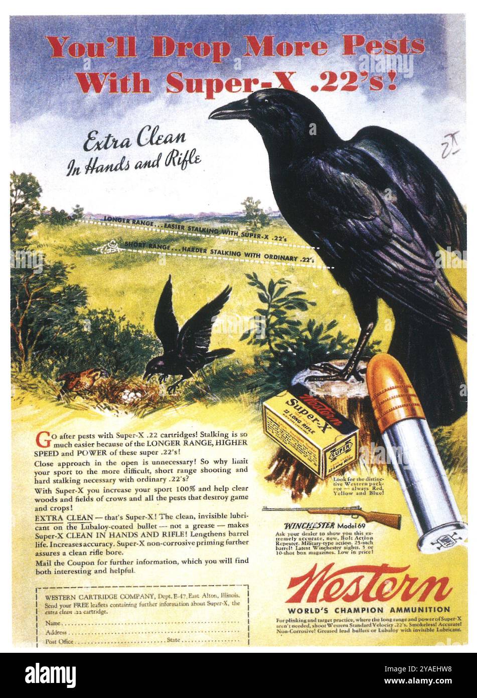 1935 Western Munition Advertising – „mit Super-X .22's werden Sie mehr Schädlinge fallen lassen“ Stockfoto
