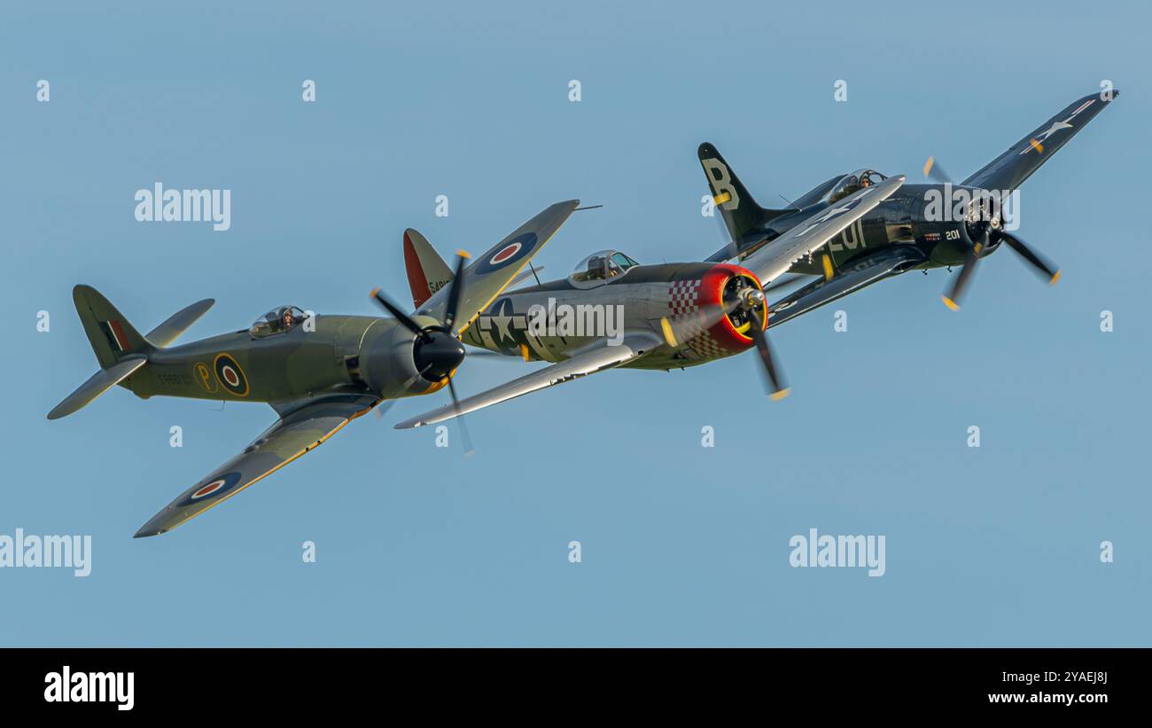 Hawker Fury Mk 11, Grumman F8F-2P Bearcat und Republic P-47D Thunderbolt Stockfoto