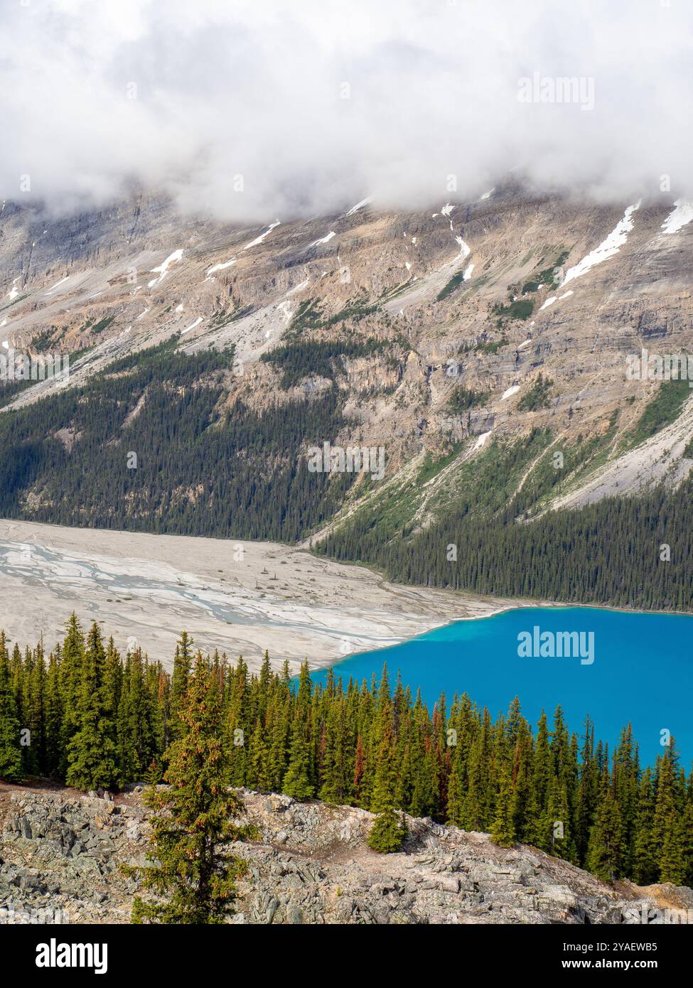 Peyto Glacial Lake, Alberta, Kanada Stockfoto
