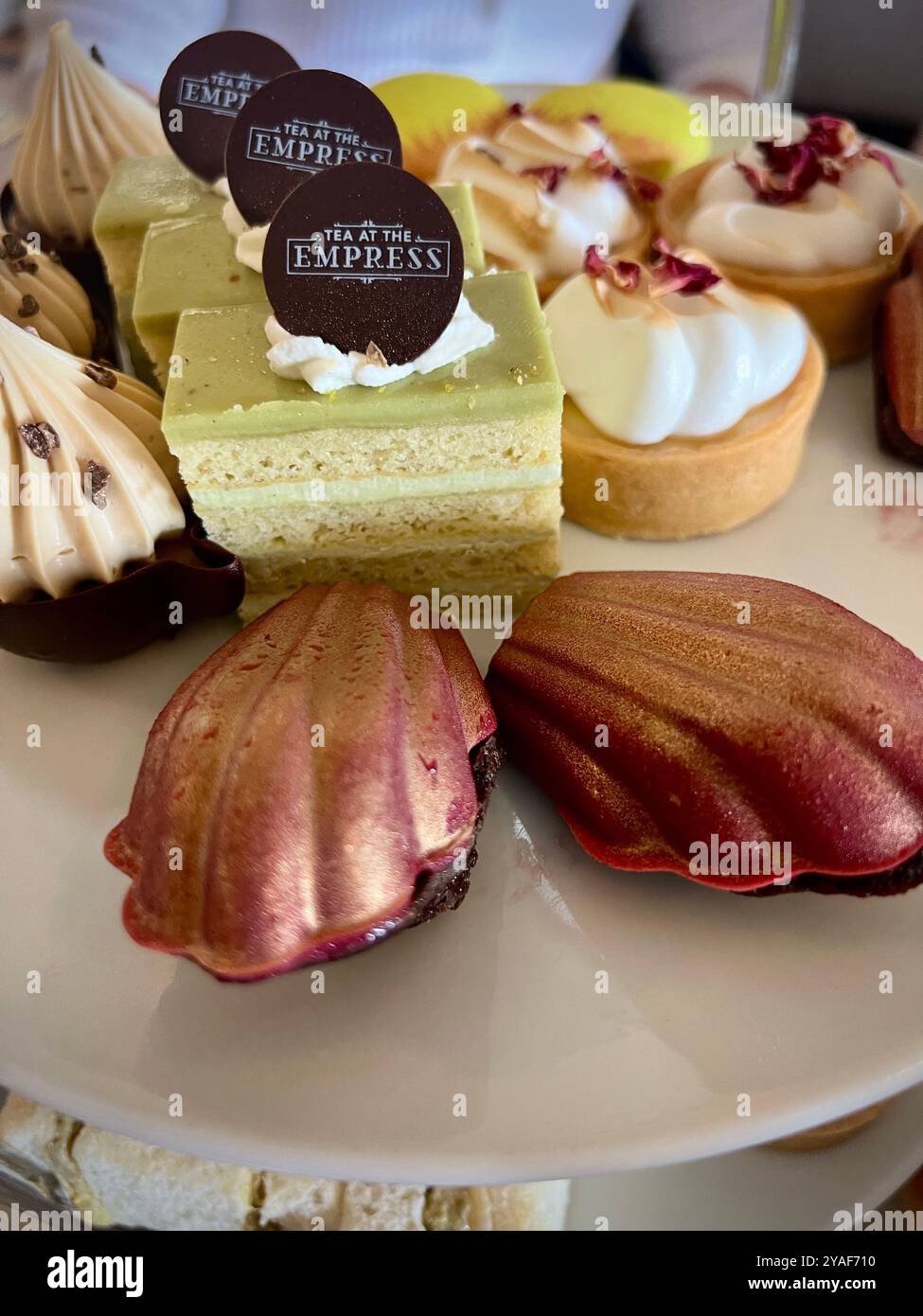 Eine elegante Auswahl an Desserts, darunter Kuchen und Madeleines, serviert während des High Tea im Empress Hotel Stockfoto