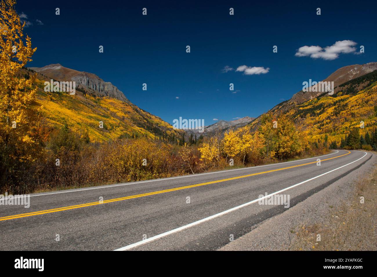 Aspen in voller Farbe entlang des US Highway 550 über Ouray, Colorado Stockfoto