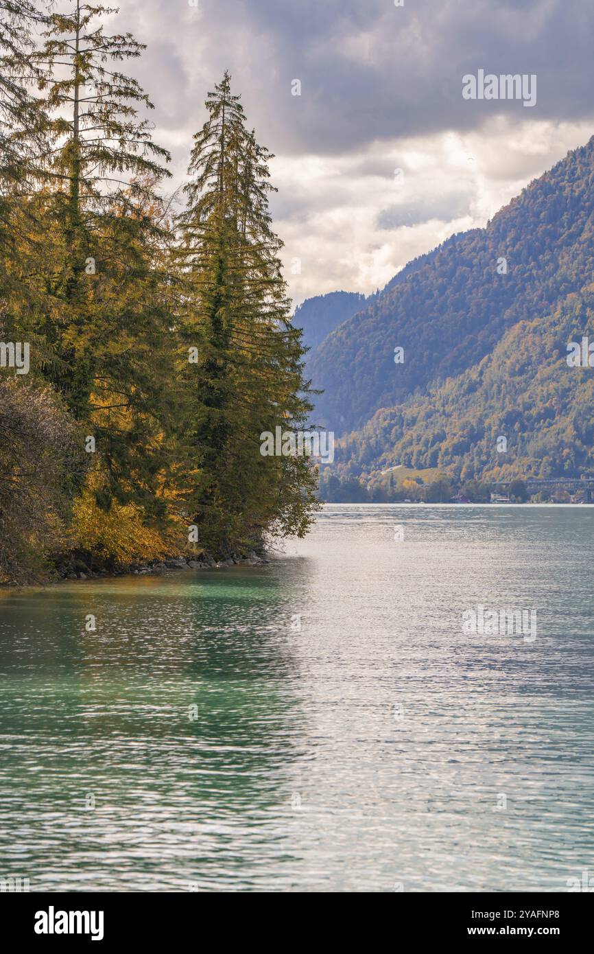 See mit bewaldetem Ufer und Bergen unter bewölktem Himmel, Brienzersee, Schweiz, Europa Stockfoto