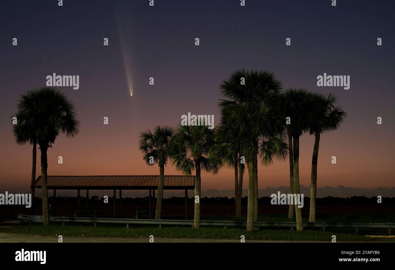 Der Komet Tsuchinshan-ATLAS, auch bekannt als C/2023 A3, taucht am Sonntag, den 13. Oktober 2024, am Himmel über Melbourne auf. Der seltene Komet besuchte das Sonnensystem zuletzt vor fast 80.000 Jahren und wird in den kommenden Tagen abends im Westen sichtbar sein. Foto: Joe Marino/UPI Credit: UPI/Alamy Live News Stockfoto
