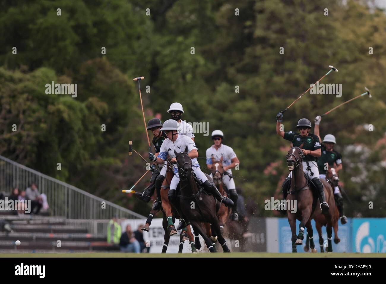 Tortugitas, Buenos Aires - 13. Oktober 2024: In der zweiten Runde der 84. Tortugas Country Club Open, präsentiert von Jumbo, triumphierte La Dolfina Saudi mit einem Sieg von 17-13 auf Feld 5 über La Hache Cría & Polo. Gonzalo Ferrari trat für den verletzten Adolfito Cambiaso ein, und La Dolfina fand ihren Rhythmus vom zweiten Chukker, gewann ihn 4-0 und übernahm die Kontrolle über das Spiel. Poroto Cambiaso stieß mit 8 Toren (sechs im Elfmeterschießen) auf, während Pelón Stirling und Juan M. Nero zu einer starken Teamleistung beitrugen. Quelle: UNAR Photo/Alamy Live News Stockfoto