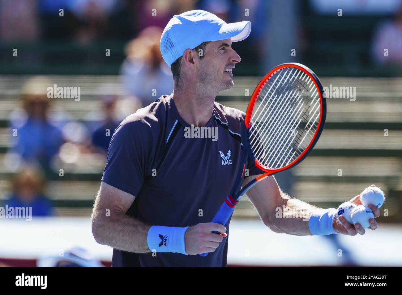 MELBOURNE, AUSTRALIEN, 11. JANUAR: Sir Andy Murray aus Großbritannien auf dem Weg, Dominic Thiem von Österreich am zweiten Tag des Kooyong C 2024 zu besiegen Stockfoto