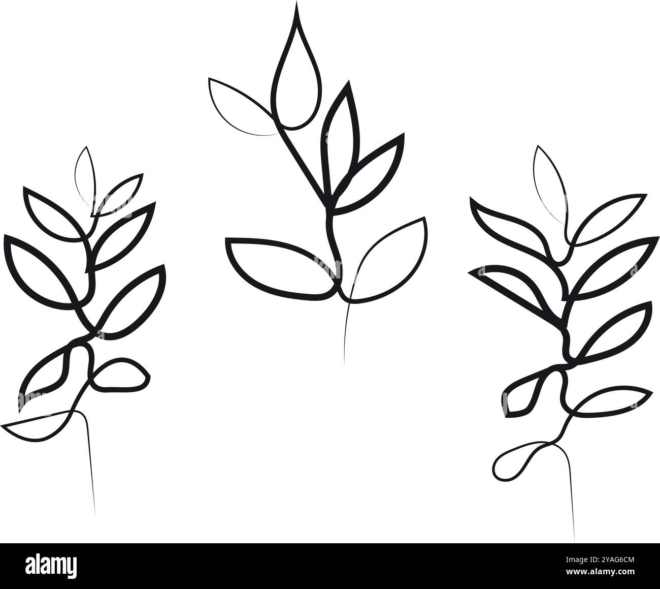 Botanische Kunst der kontinuierlichen Linie. Stock Vektor