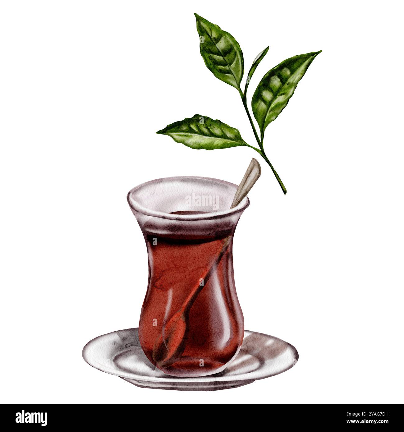 Türkischer Tee. Ein Glas Tee und eine Untertasse. Es ist ein Teelöffel in einem Glas. Traditionen der Türkei. Ein Zweig einer Teepflanze. Ein paar grüne Blätter. Duftend Stockfoto