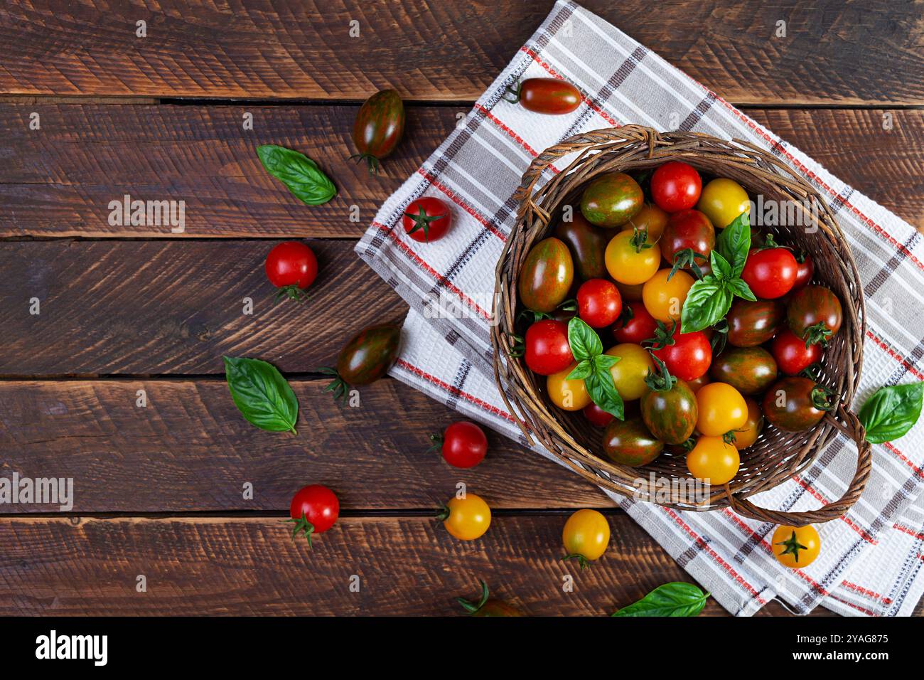 Mehrfarbige Tomaten im Korb. Verschiedene Arten frischer Tomaten Stockfoto