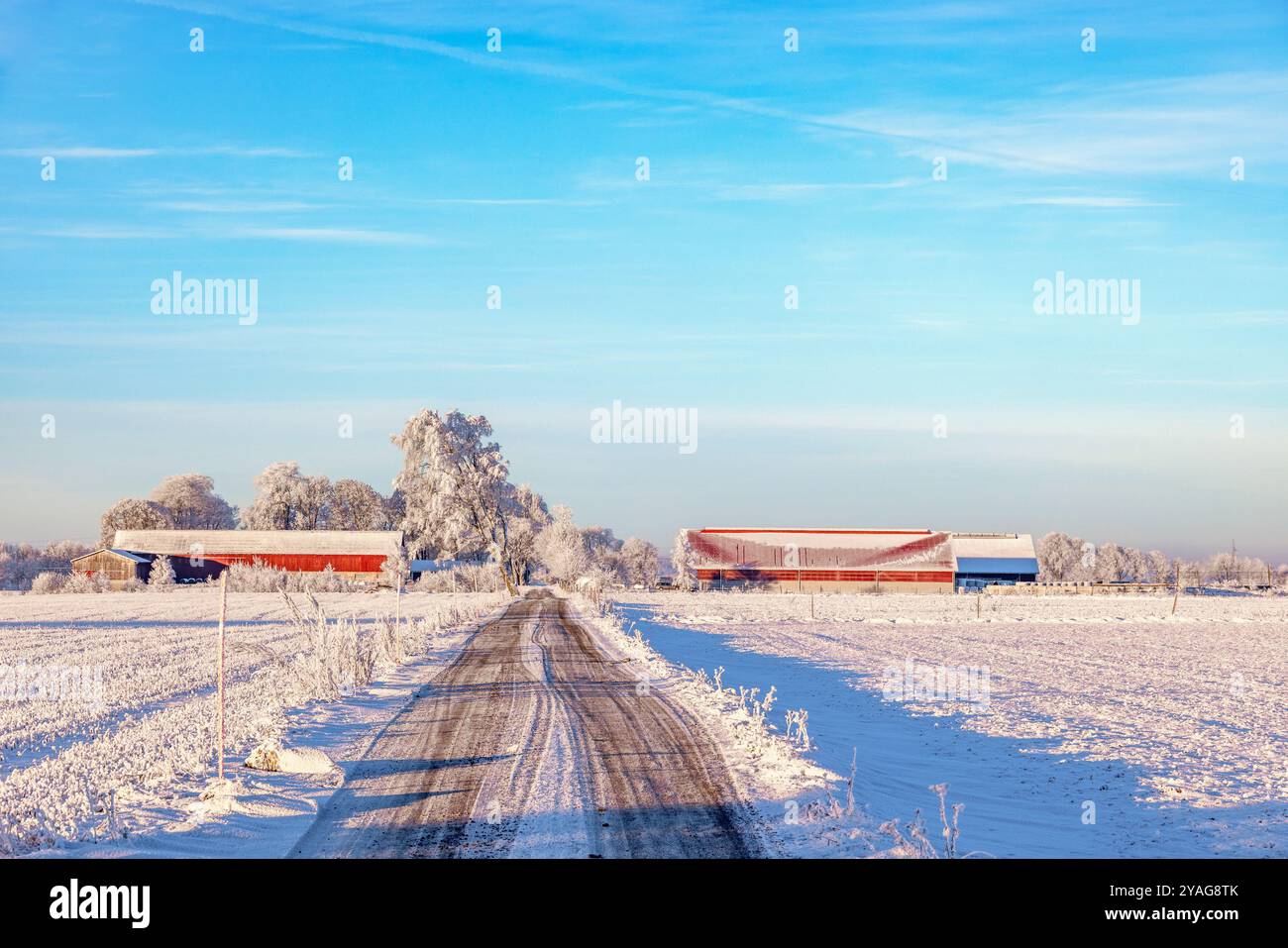 Rote Scheunen an einer Winterstraße ein kalter, sonniger Wintertag Stockfoto
