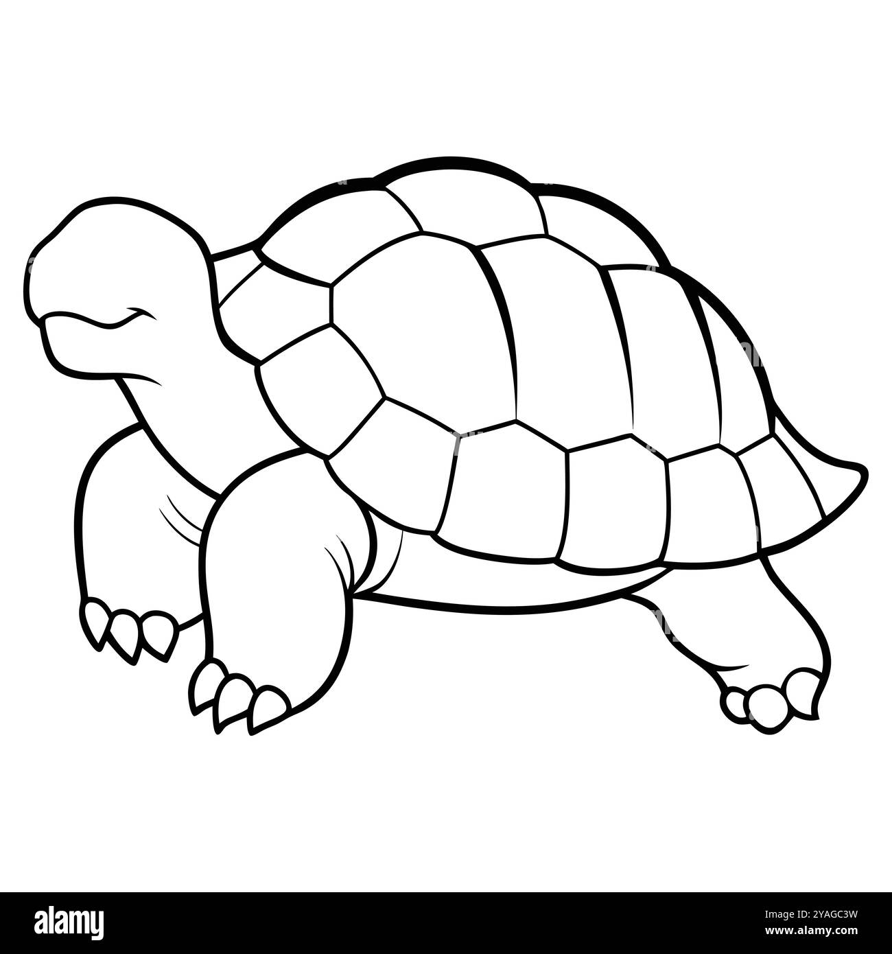 Exquisite Schildkröte Line Art Vektor Detailliert, Hochwertig. Abbildung eines Zeichentrickschildkrötensymbols. Stock Vektor