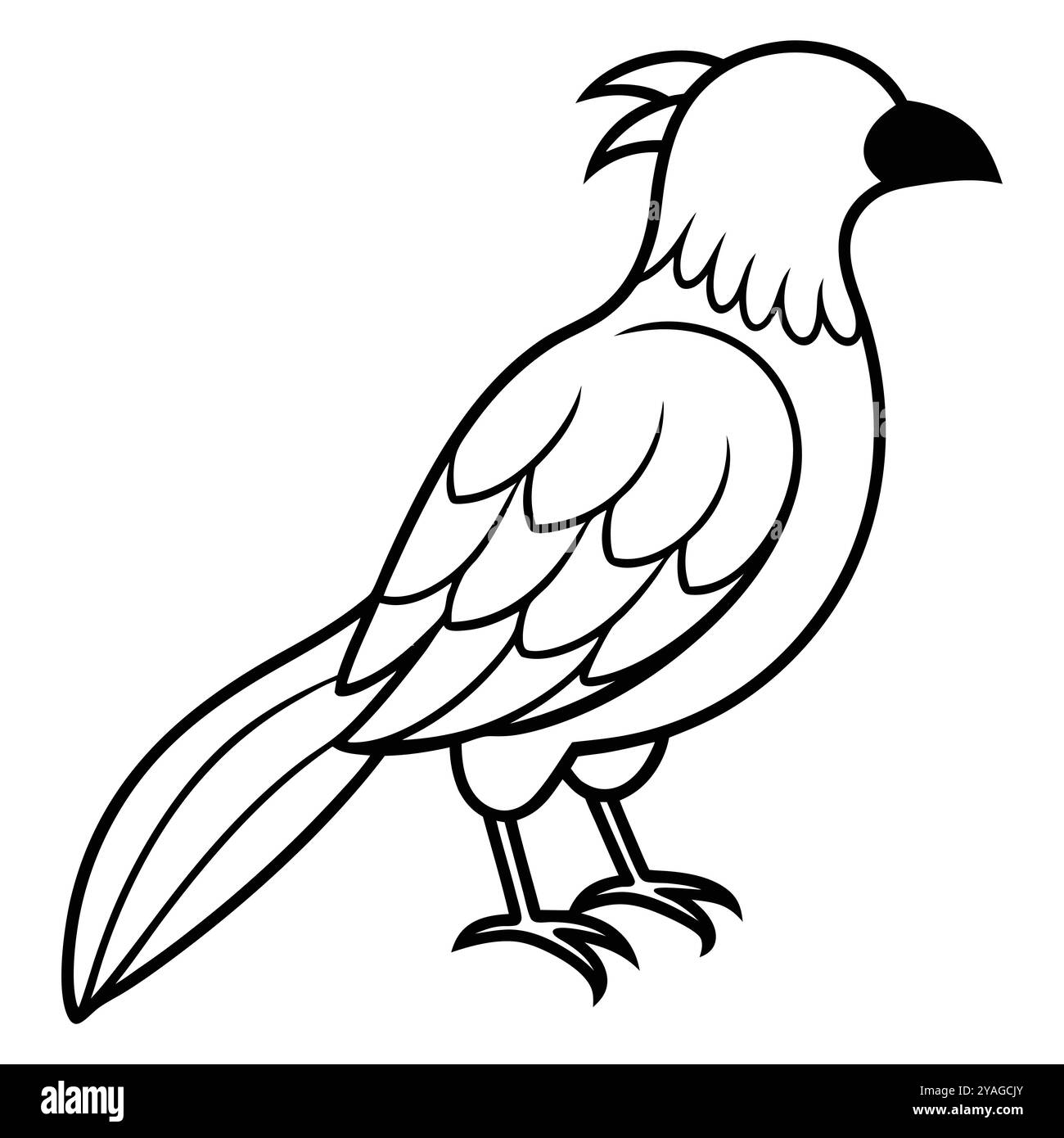 Papagei, Schwarz-weiß-Vektor-Illustration. Ara Vogel Vektor-Illustration: Cartoon, ClipArt. Stock Vektor