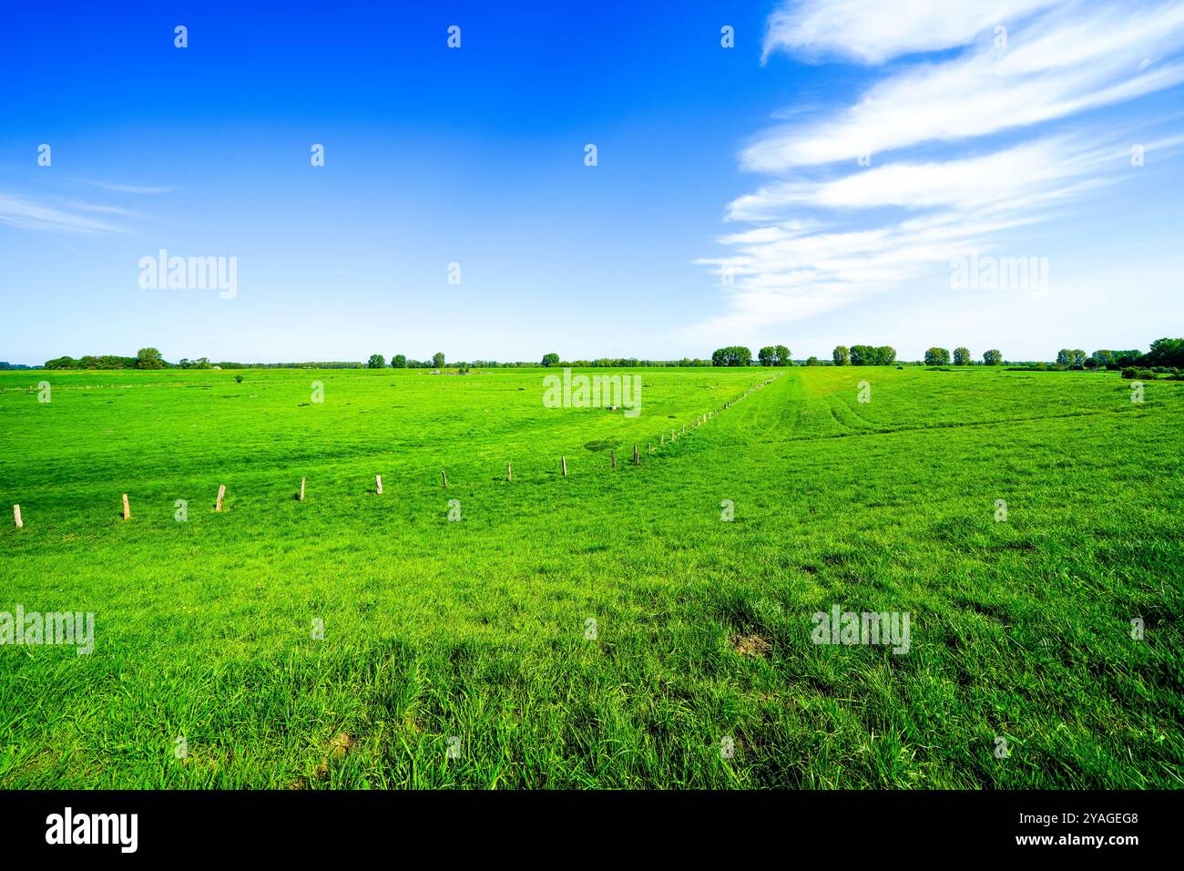 Landschaft auf der Bislichen Insel bei Xanten im Stadtteil Wesel. Naturschutzgebiet auf der Auenlandschaft am Niederrhein. Stockfoto