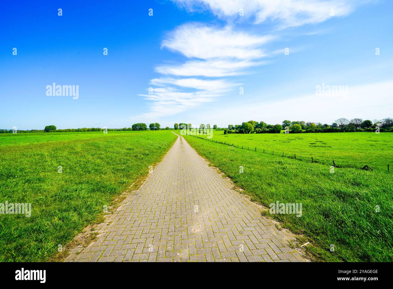Landschaft auf der Bislichen Insel bei Xanten im Stadtteil Wesel. Naturschutzgebiet auf der Auenlandschaft am Niederrhein. Stockfoto