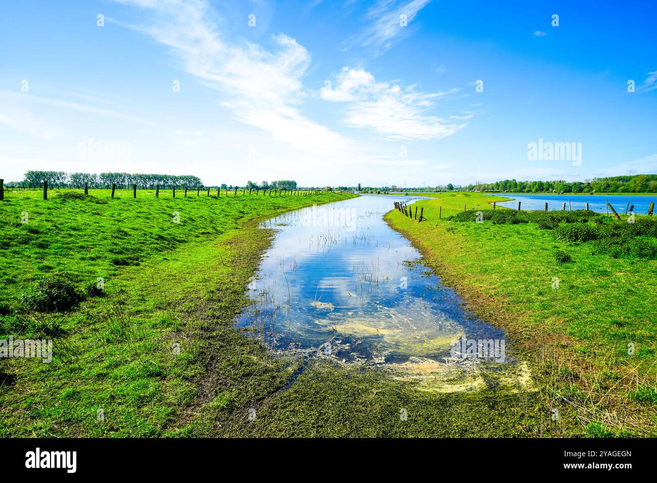 Landschaft auf der Bislichen Insel bei Xanten im Stadtteil Wesel. Naturschutzgebiet auf der Auenlandschaft am Niederrhein. Stockfoto