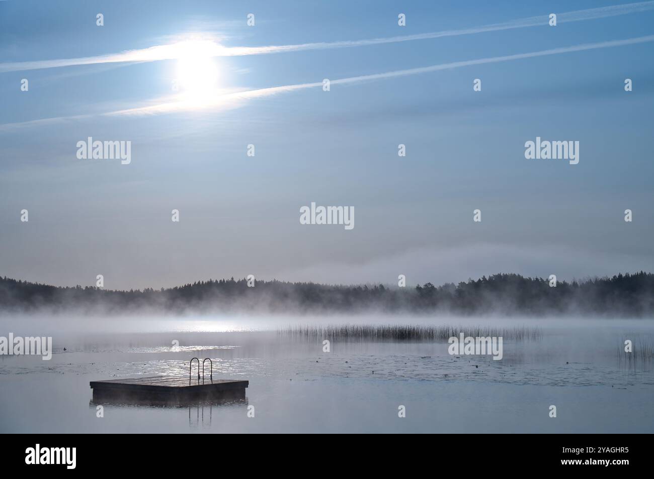 Schwimmende Insel am Morgen im Nebel auf einem schwedischen See. Wald im Hintergrund. Skandinavische Natur Stockfoto