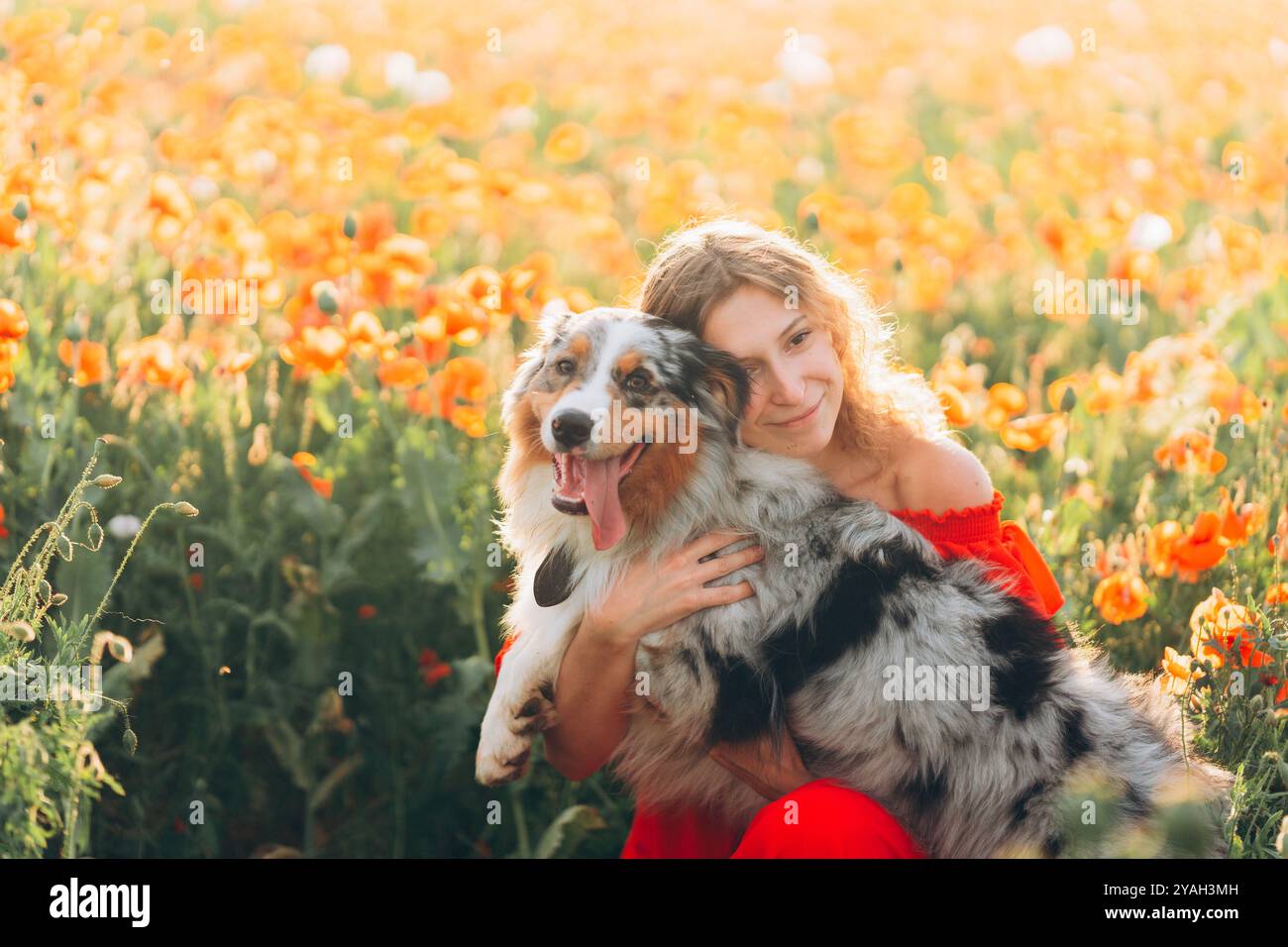 In einem lebhaften Mohnfeld unter der warmen Sonne, eine junge Frau mit ihrem Hund Stockfoto