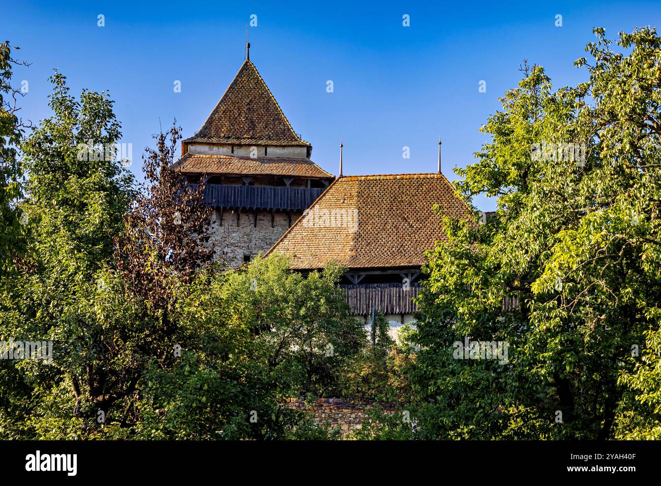 Die befestigte Kirche von Viscri Stockfoto