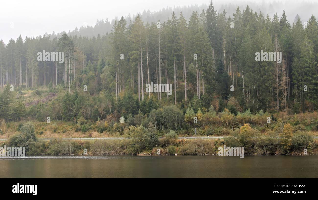 Ankunft des Herbstes in den Bergen Stockfoto