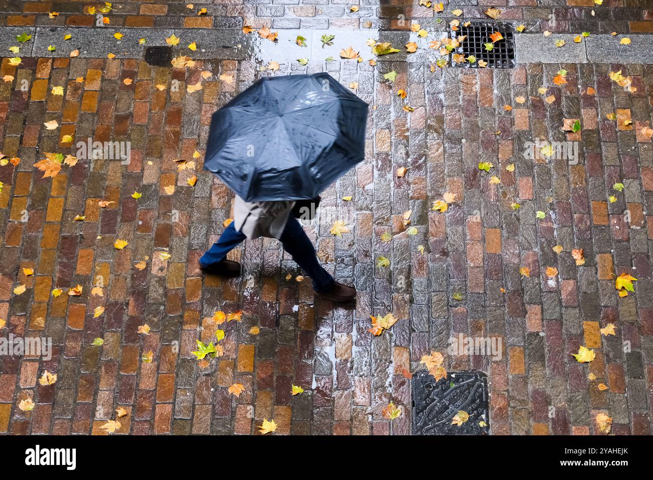 London, Großbritannien. Oktober 2024. Wetter in Großbritannien: Regen in London. Quelle: Matthew Chattle/Alamy Live News Stockfoto