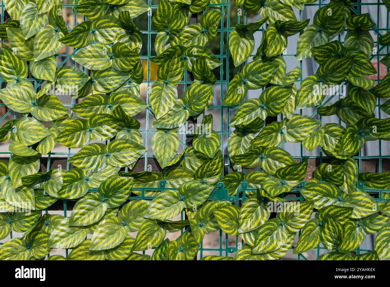 Künstlicher Efeu. Grüne Zäune für Privatsphäre. Künstliche Hecken, Zäune. Stockfoto