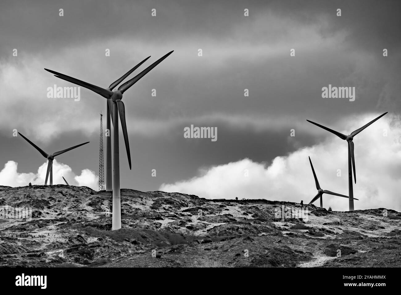 Eine große Windturbine dominiert die Landschaft, deren Rotorblätter lange Schatten über den Hügel werfen. Stockfoto