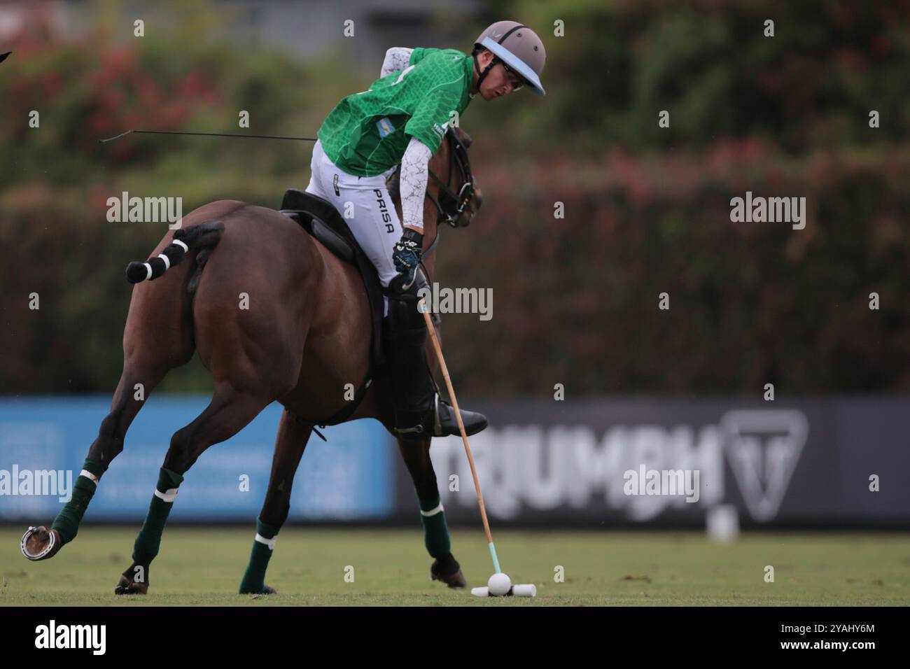 Tortugitas, Buenos Aires - 13. Oktober 2024: In der zweiten Runde der 84. Tortugas Country Club Open, präsentiert von Jumbo, triumphierte La Dolfina Saudi mit einem Sieg von 17-13 auf Feld 5 über La Hache Cría & Polo. Gonzalo Ferrari trat für den verletzten Adolfito Cambiaso ein, und La Dolfina fand ihren Rhythmus vom zweiten Chukker, gewann ihn 4-0 und übernahm die Kontrolle über das Spiel. Poroto Cambiaso stieß mit 8 Toren (sechs im Elfmeterschießen) auf, während Pelón Stirling und Juan M. Nero zu einer starken Teamleistung beitrugen. Trotz der frühen Verletzung von Facundo Sola beim ersten Chukker Ignacio Laprida Stockfoto