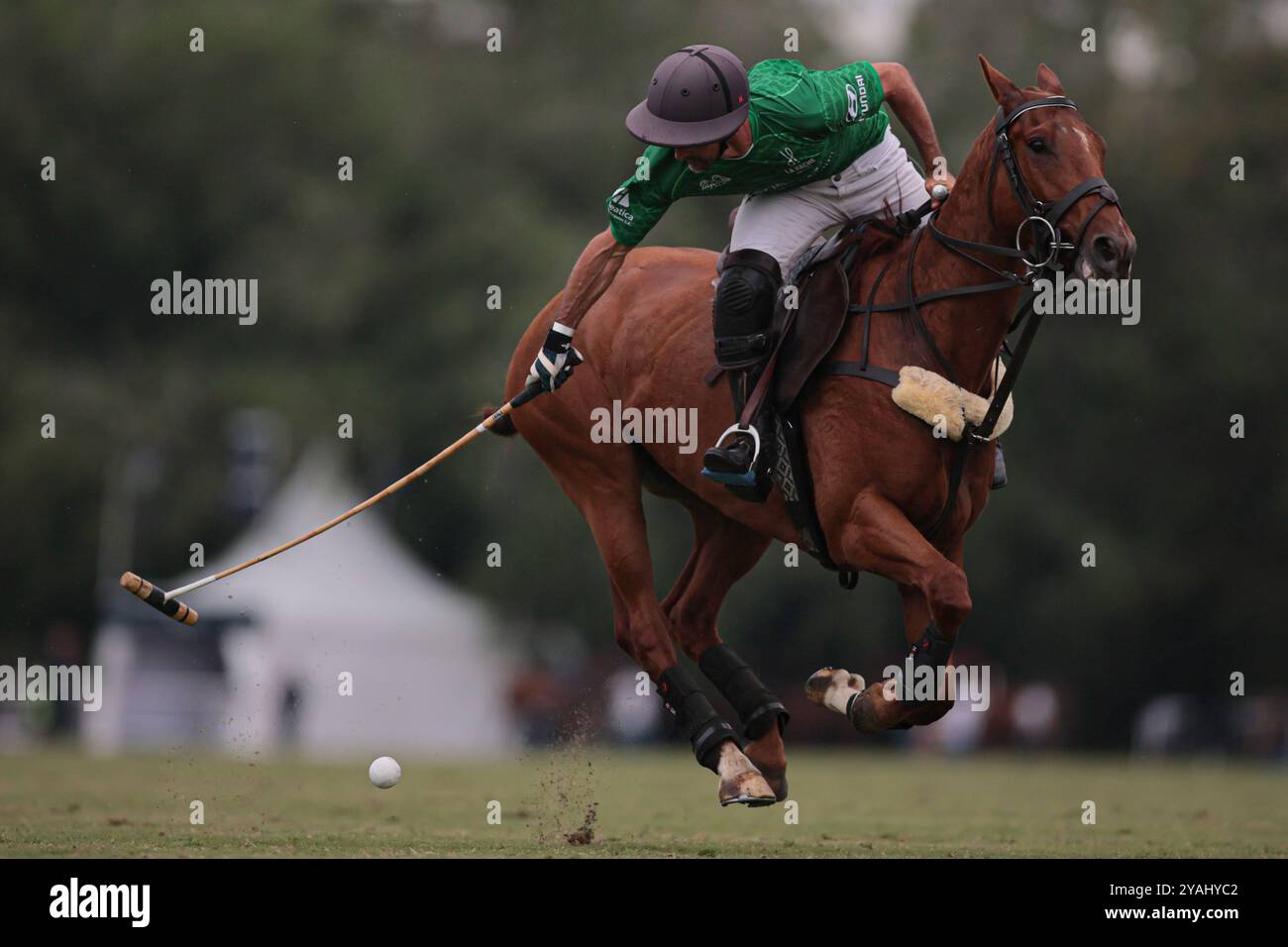 Tortugitas, Buenos Aires - 13. Oktober 2024: In der zweiten Runde der 84. Tortugas Country Club Open, präsentiert von Jumbo, triumphierte La Dolfina Saudi mit einem Sieg von 17-13 auf Feld 5 über La Hache Cría & Polo. Gonzalo Ferrari trat für den verletzten Adolfito Cambiaso ein, und La Dolfina fand ihren Rhythmus vom zweiten Chukker, gewann ihn 4-0 und übernahm die Kontrolle über das Spiel. Poroto Cambiaso stieß mit 8 Toren (sechs im Elfmeterschießen) auf, während Pelón Stirling und Juan M. Nero zu einer starken Teamleistung beitrugen. Trotz der frühen Verletzung von Facundo Sola beim ersten Chukker Ignacio Laprida Stockfoto