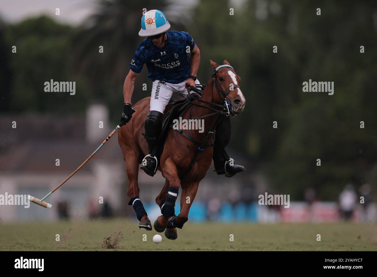 Tortugitas, Buenos Aires - 13. Oktober 2024: In der zweiten Runde der 84. Tortugas Country Club Open, präsentiert von Jumbo, triumphierte La Dolfina Saudi mit einem Sieg von 17-13 auf Feld 5 über La Hache Cría & Polo. Gonzalo Ferrari trat für den verletzten Adolfito Cambiaso ein, und La Dolfina fand ihren Rhythmus vom zweiten Chukker, gewann ihn 4-0 und übernahm die Kontrolle über das Spiel. Poroto Cambiaso stieß mit 8 Toren (sechs im Elfmeterschießen) auf, während Pelón Stirling und Juan M. Nero zu einer starken Teamleistung beitrugen. Trotz der frühen Verletzung von Facundo Sola beim ersten Chukker Ignacio Laprida Stockfoto