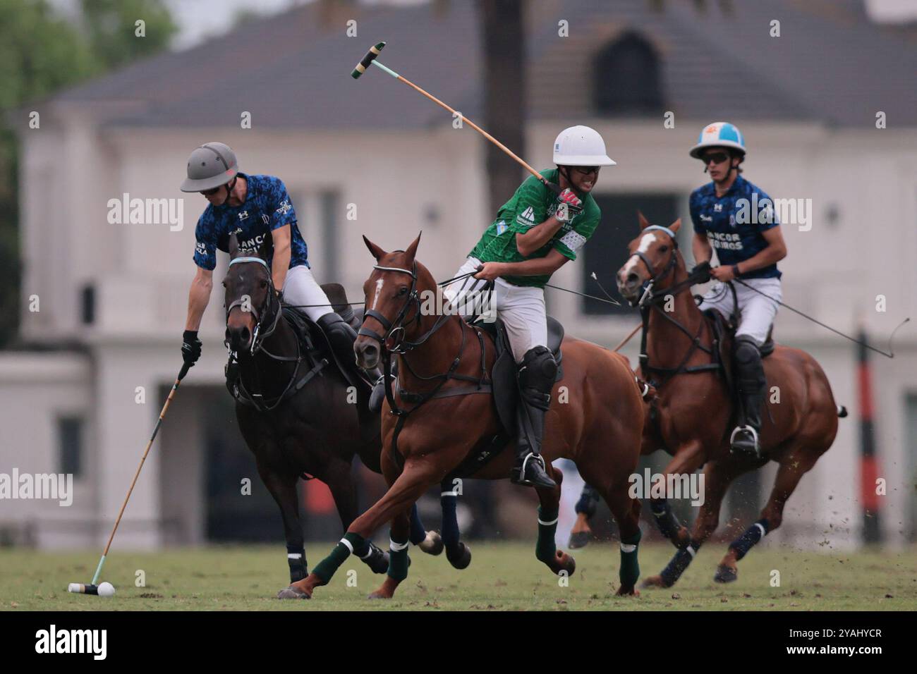 Tortugitas, Buenos Aires - 13. Oktober 2024: In der zweiten Runde der 84. Tortugas Country Club Open, präsentiert von Jumbo, triumphierte La Dolfina Saudi mit einem Sieg von 17-13 auf Feld 5 über La Hache Cría & Polo. Gonzalo Ferrari trat für den verletzten Adolfito Cambiaso ein, und La Dolfina fand ihren Rhythmus vom zweiten Chukker, gewann ihn 4-0 und übernahm die Kontrolle über das Spiel. Poroto Cambiaso stieß mit 8 Toren (sechs im Elfmeterschießen) auf, während Pelón Stirling und Juan M. Nero zu einer starken Teamleistung beitrugen. Trotz der frühen Verletzung von Facundo Sola beim ersten Chukker Ignacio Laprida Stockfoto