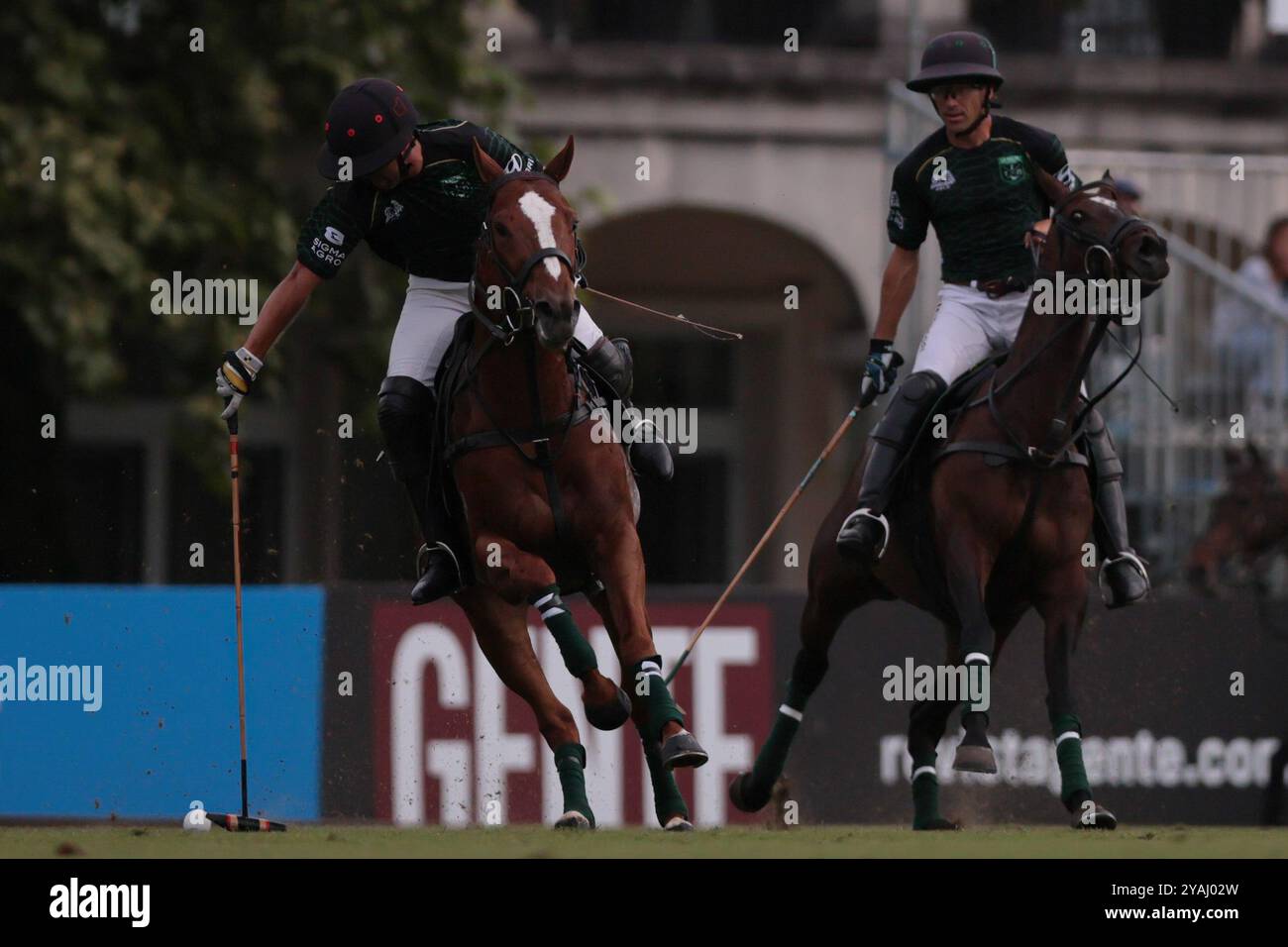 Tortugitas, Buenos Aires - 13. Oktober 2024: In der Fortsetzung der zweiten Runde (erste in Zone B) der 84. Tortugas Country Club Open, präsentiert von Jumbo, sicherte sich das La Hache Polo Team einen 13-10 Sieg über La Ensenada Dietrich auf Feld 7, beide Teams spielten mit gleichem Handicap. La Ensenada startete stark, Jerónimo del Carril war in der ersten Halbzeit hervorragend und gab seinem Team einen Vorsprung von 4 Toren, so dass das La Hache Polo Team in der Halbzeit um 3 lag. In der zweiten Halbzeit kam es jedoch zu einer kompletten Wende, als Fran Elizalde und Tommy Panelo begannen, Polito Pieres und Hilario Ulloa, Shifti, zu unterstützen Stockfoto