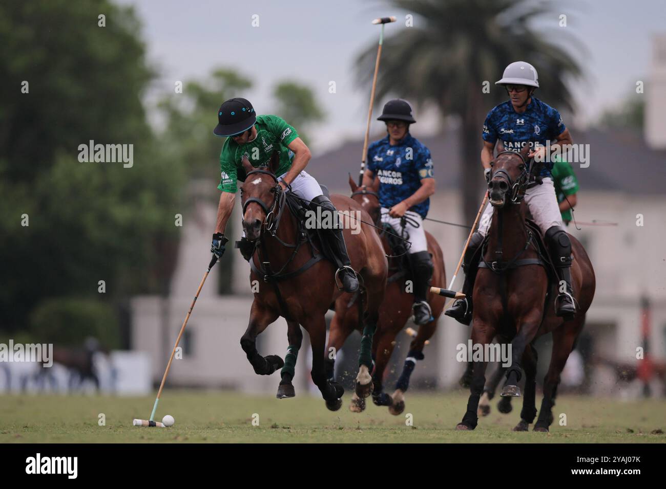 Tortugitas, Buenos Aires - 13. Oktober 2024: In der zweiten Runde der 84. Tortugas Country Club Open, präsentiert von Jumbo, triumphierte La Dolfina Saudi mit einem Sieg von 17-13 auf Feld 5 über La Hache Cría & Polo. Gonzalo Ferrari trat für den verletzten Adolfito Cambiaso ein, und La Dolfina fand ihren Rhythmus vom zweiten Chukker, gewann ihn 4-0 und übernahm die Kontrolle über das Spiel. Poroto Cambiaso stieß mit 8 Toren (sechs im Elfmeterschießen) auf, während Pelón Stirling und Juan M. Nero zu einer starken Teamleistung beitrugen. Trotz der frühen Verletzung von Facundo Sola beim ersten Chukker Ignacio Laprida Stockfoto