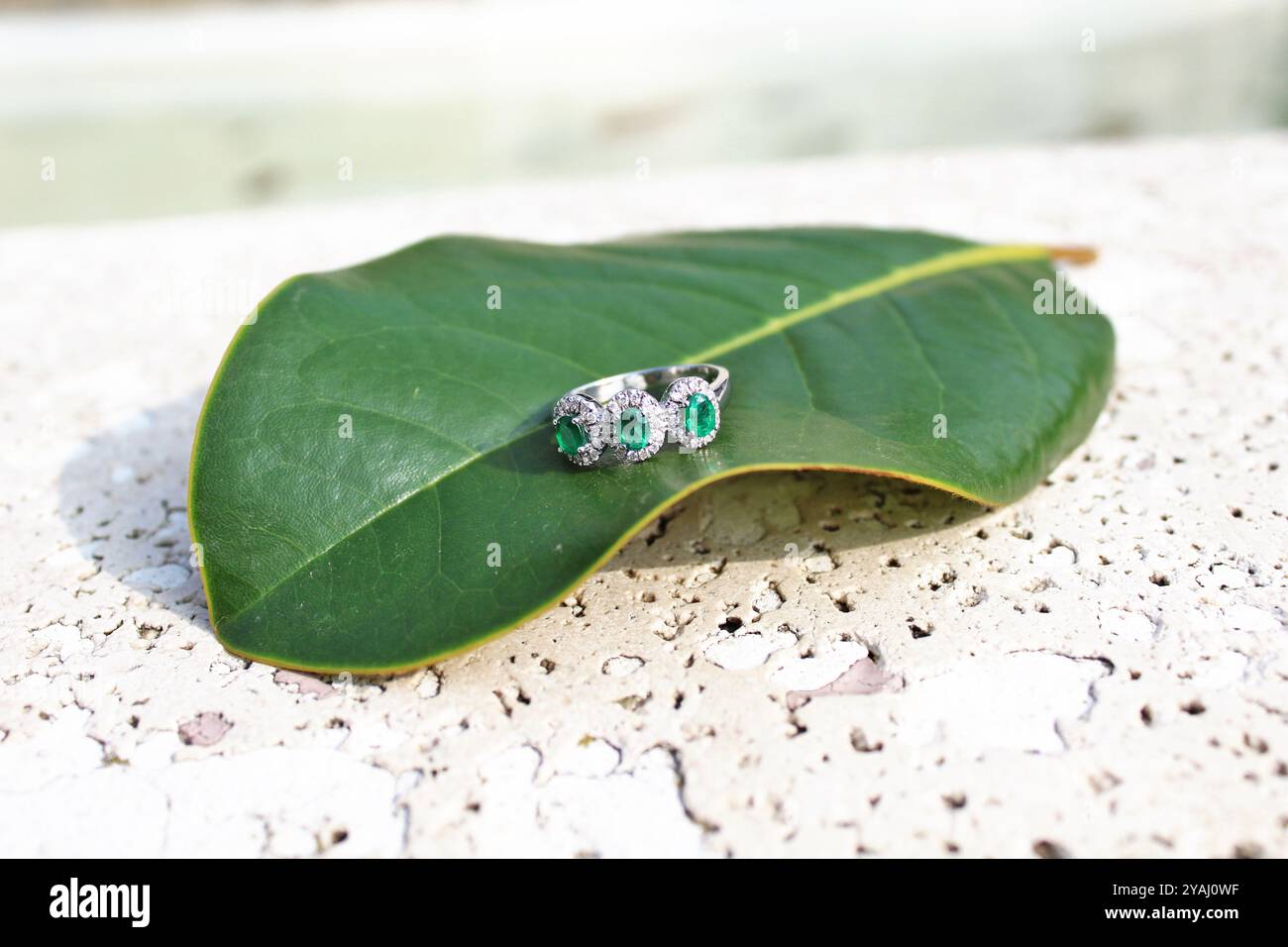 smaragd und Diamanten klingen auf einem Blatt Stockfoto