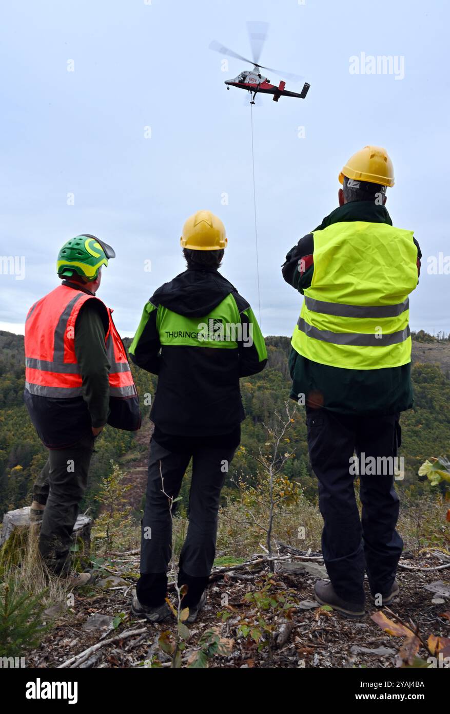 14. Oktober 2024, Thüringen, Sonneberg: Im Forstdorf Hüttengrund des Forstamtes Sonneberg wird ein Helikopter der Schweizer Firma Rotex mit Spezialtechnologie zur Ernte von Buchen an einem steilen Hang eingesetzt. Am Hubschrauber ist ein Hängeseil befestigt, das der Pilot während des Fluges an den Baum manövriert. Ein Förster am Baum befestigt das Seil und sägt einen Teil des Stammes über ihm ab, der dann hängend vom Helikopter wegtransportiert wird. Diese Hubschraubergestützte Holzerntetechnik wird hier für eine Verkehrssicherheitsmaßnahme der ThüringenForst-AöR eingesetzt. Foto: Stockfoto