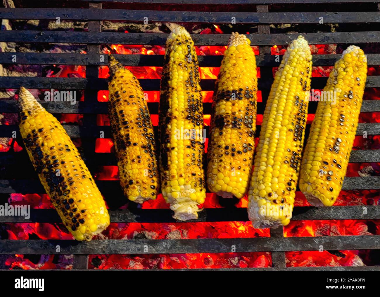 Gegrilltes Golden Corn Delight. Eine Nahansicht. Rote Hitze. Kohle. Stockfoto