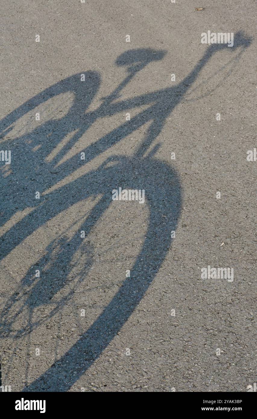 Fahrt in die Gesundheit: Fahrradschatten auf dem Boden, Ein Aufruf zum aktiven Leben Stockfoto