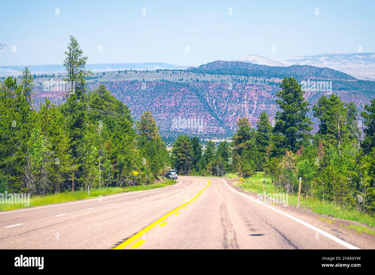 Blick auf die Flaming Gorge, Utah auf der Autobahn mit Wald und farbenfroher Landschaft der Canyons im Sommer Stockfoto