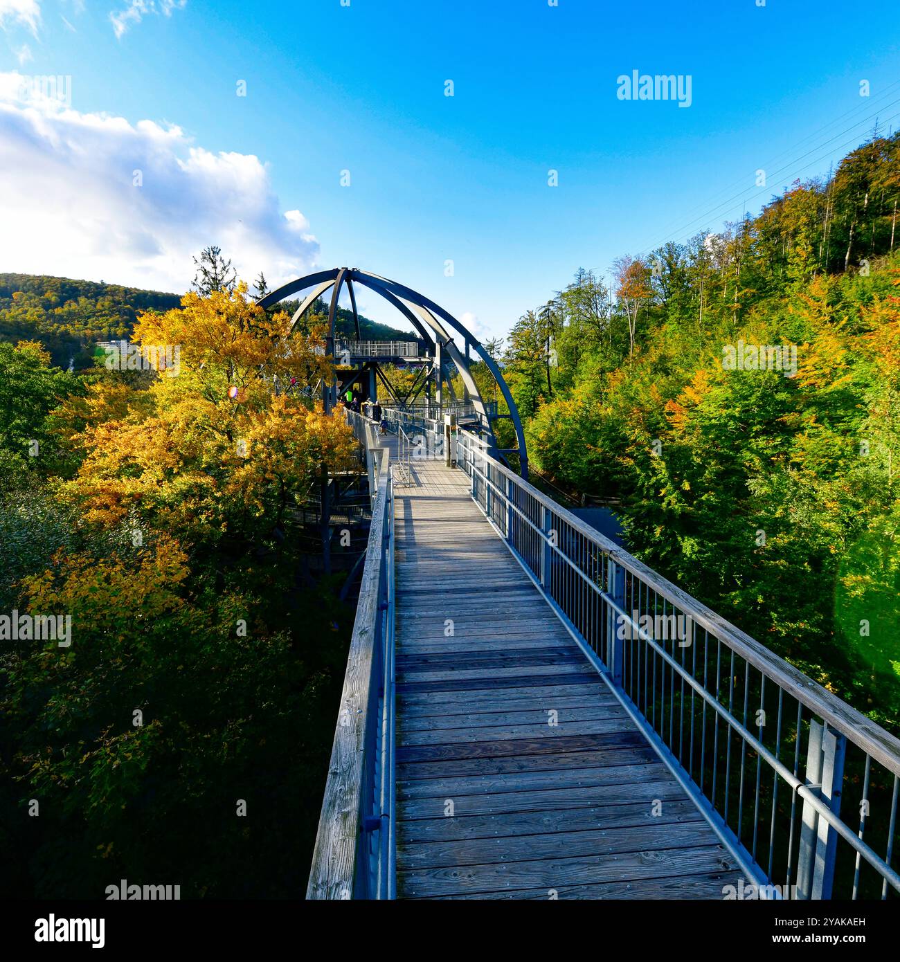 Verwunderlich Baumwipfelpfad Bad Harzburg Ebenbild