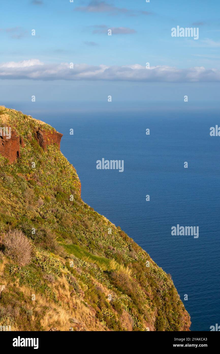 Blick vom Berg auf eine von Grün und Atlantik bedeckte Klippe. Blauer Himmel mit hellweißen Wolken im Frühling. Faja dos Padres, Madei Stockfoto