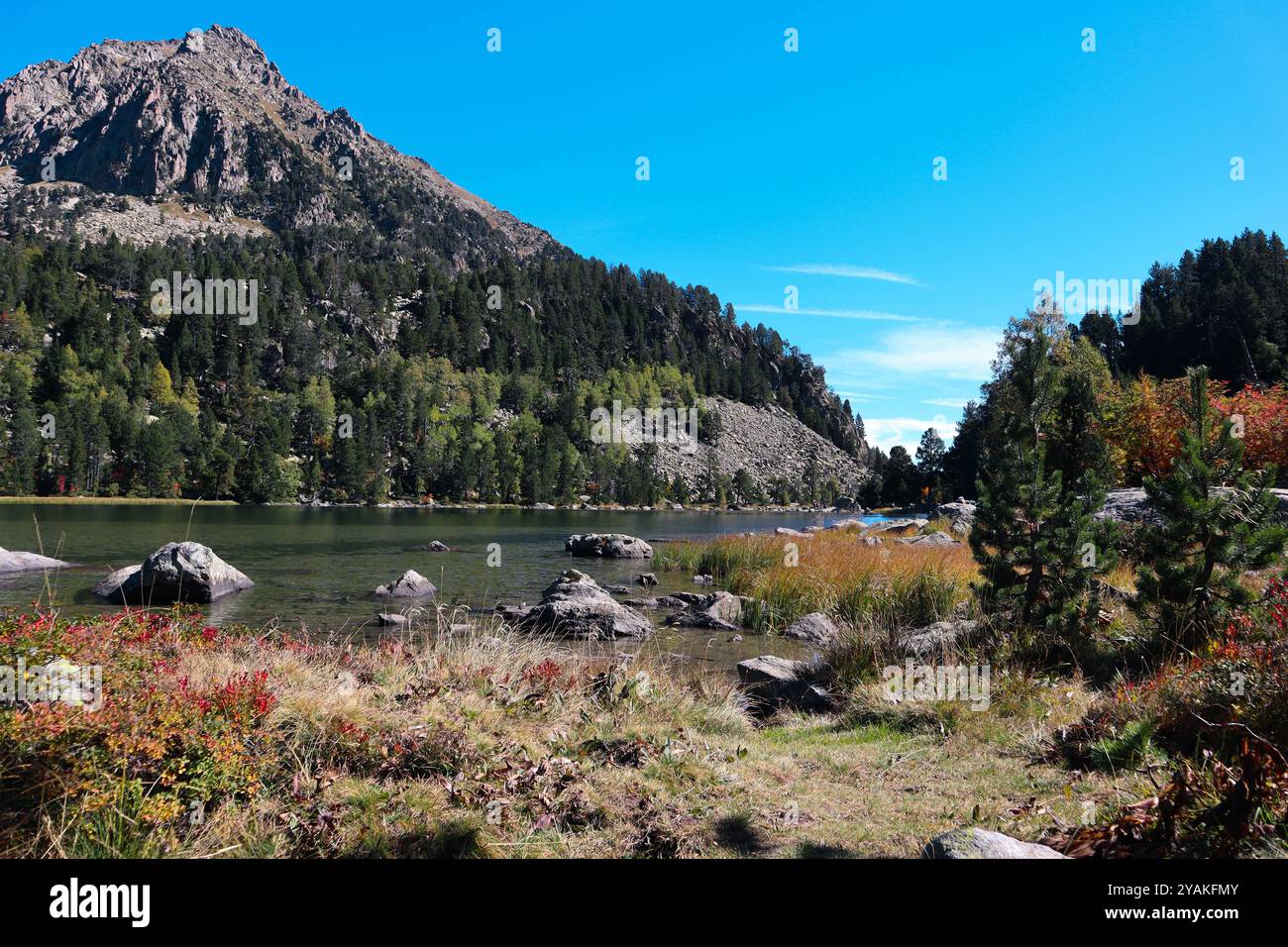 Der Beginn des Herbstes in Estany de Ratera im Nationalpark Aigüestortes in den spanischen Pyrenäen. Stockfoto