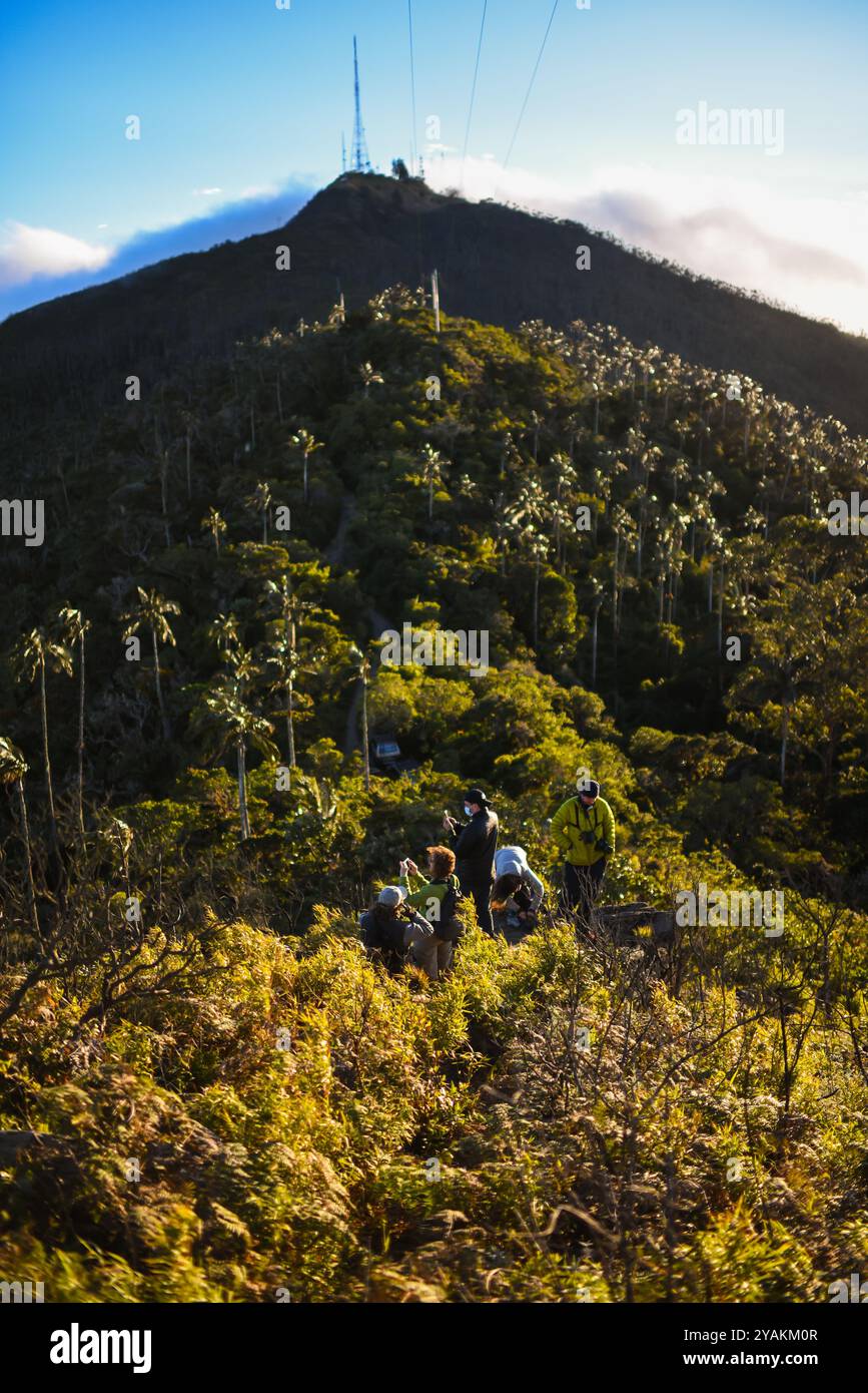 Blick auf die Sierra Nevada de Santa Marta, Berge, einschließlich Cerro Kennedy, auch bekannt als „La Cuchillo de San Lorenzo“, Kolumbien Stockfoto