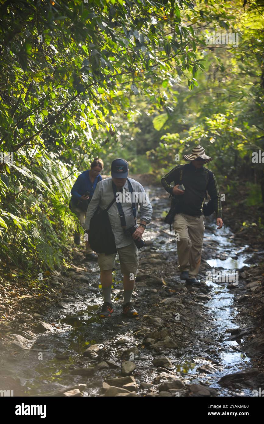 Gruppe von Vogelbeobachtern auf der Suche nach Arten in Sierra Nevada de Santa Marta mit Colombia Photo Expeditions, Kolumbien Stockfoto