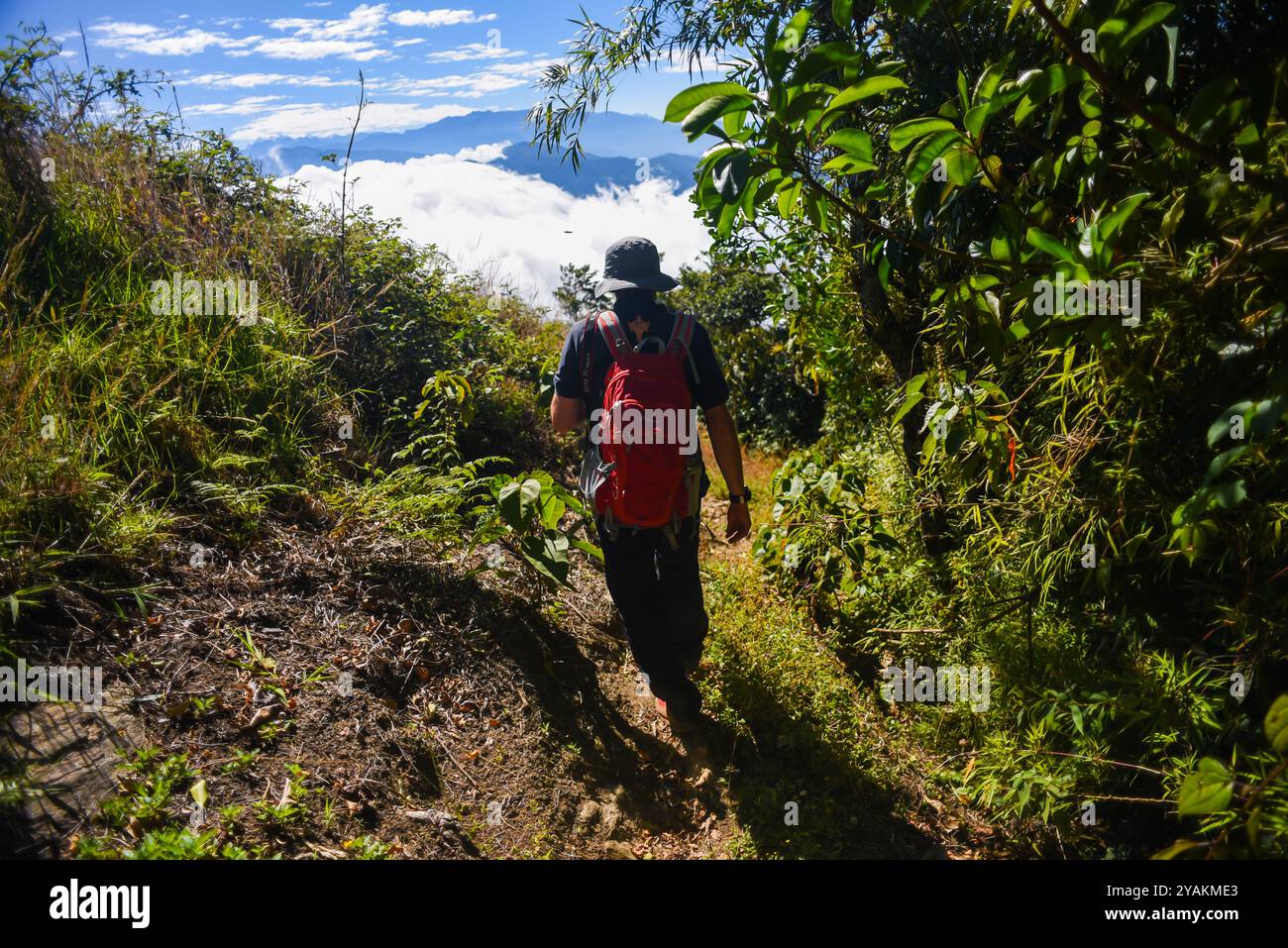Junger Mann, der in den Bergen der Sierra Nevada de Santa Marta in Kolumbien wandert Stockfoto