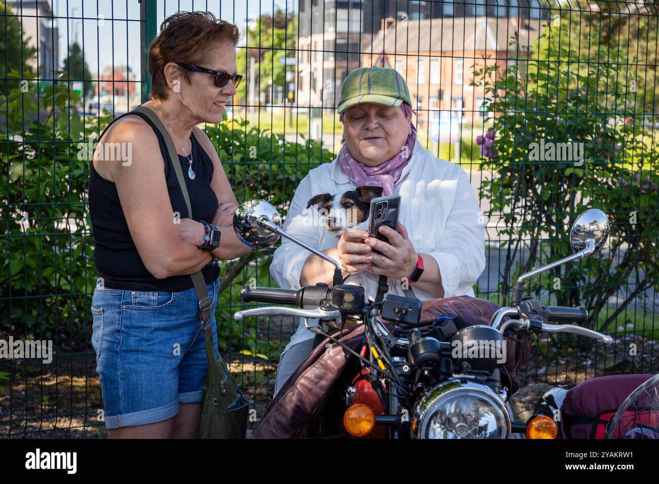 The Distinguished Gentleman's Ride (DGR) 2024. Dame auf Motorradkombination mit ihrem Jack Russell Stockfoto