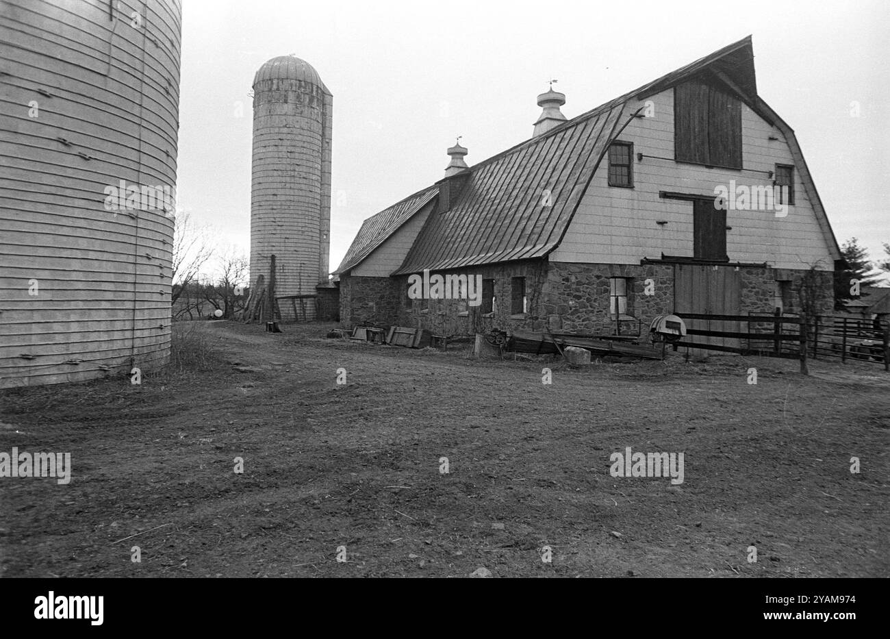 Vereinigte Staaten: 1987: Die walisische Molkerei in der Nähe von Hamilton im Frühjahr 1987. 1993 war die Milchherde verkauft worden und die Berühmtheit in Loudoun wurde zu einem Stockfoto