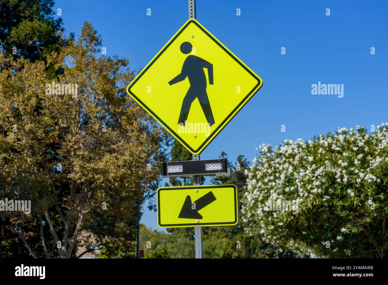 Fußgängerübergangsschild mit Blinkleuchten. Die Rundumleuchte informiert Fahrer im Voraus über Fußgängeraktivitäten. Stockfoto