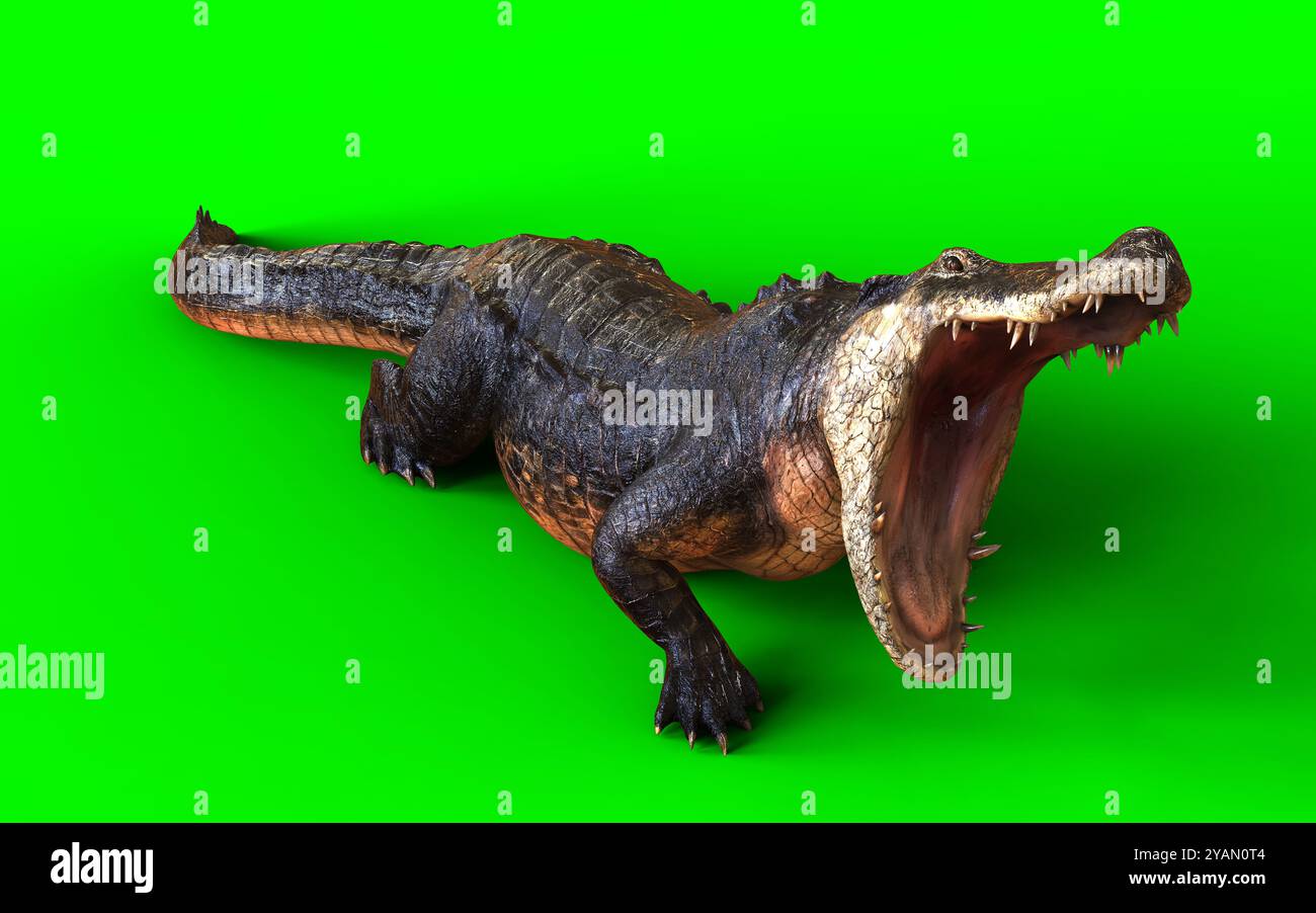 3D-Illustration eines dunklen amerikanischen Krokodils isoliert auf grünem Hintergrund, Animal Hunting Motion. Stockfoto