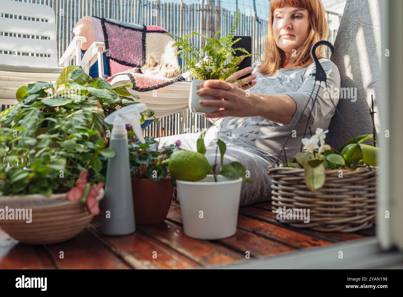 Frau kümmert sich um Pflanzen, Zimmerpflanzen, Blumentöpfe, Blumen, Wasser, Sprays, auf einer offenen Terrasse, Stockfoto
