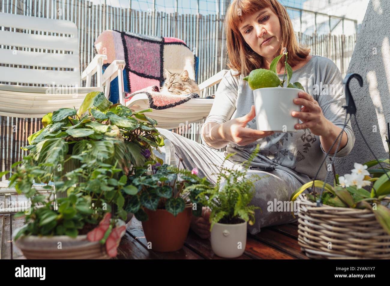Frau kümmert sich um Pflanzen, Zimmerpflanzen, Blumentöpfe, Blumen, Wasser, Sprays, auf einer offenen Terrasse, Stockfoto